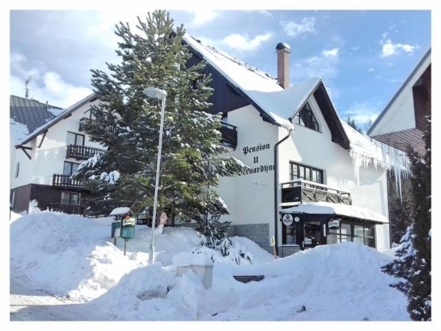 Hotel U Bernardyna Harrachov Exteriér fotografie