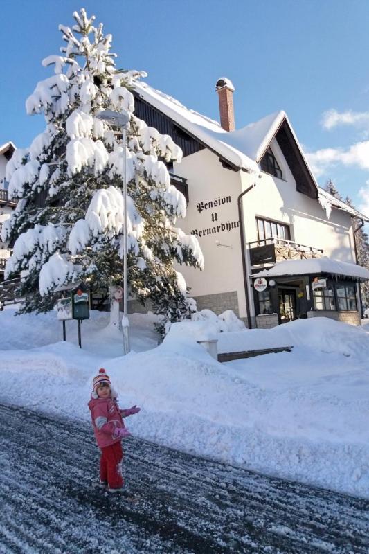 Hotel U Bernardyna Harrachov Exteriér fotografie
